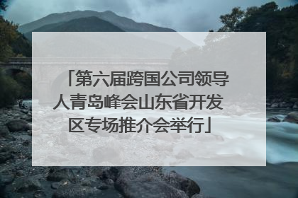 第六届跨国公司领导人青岛峰会山东省开发区专场推介会举行