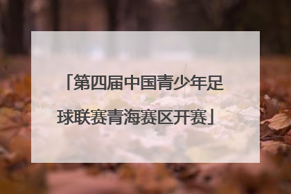 第四届中国青少年足球联赛青海赛区开赛