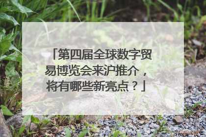 第四届全球数字贸易博览会来沪推介，将有哪些新亮点？