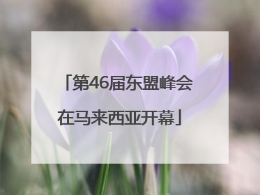 第46届东盟峰会在马来西亚开幕