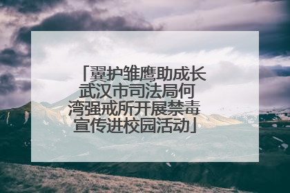 翼护雏鹰助成长 武汉市司法局何湾强戒所开展禁毒宣传进校园活动