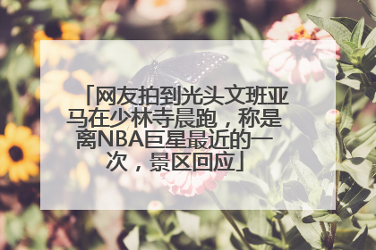 网友拍到光头文班亚马在少林寺晨跑，称是离NBA巨星最近的一次，景区回应