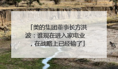美的集团董事长方洪波：谁现在进入家电业，在战略上已经输了