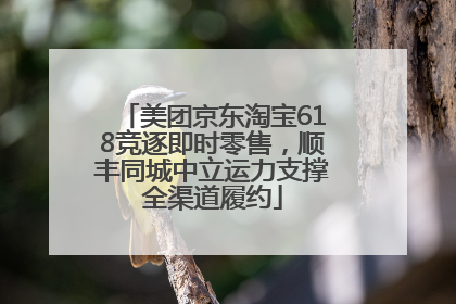 美团京东淘宝618竞逐即时零售，顺丰同城中立运力支撑全渠道履约