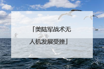 美陆军战术无人机发展受挫