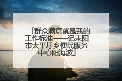群众满意就是我的工作标准——记耒阳市太平圩乡便民服务中心阳海波