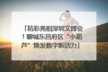 精彩亮相深圳文博会！聊城东昌府区“小葫芦”焕发数字新活力