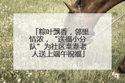粽叶飘香，邻里情浓，“送福小分队”为社区耄耋老人送上端午祝福