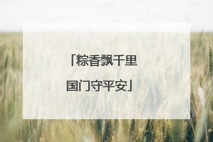 粽香飘千里 国门守平安