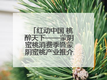 红动中国 桃醉天下——蒙阴蜜桃消费季暨蒙阴蜜桃产业推介会成功举办