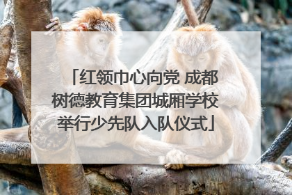 红领巾心向党 成都树德教育集团城厢学校举行少先队入队仪式