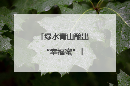 绿水青山酿出“幸福蜜”