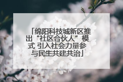 绵阳科技城新区推出“社区合伙人”模式 引入社会力量参与民生共建共治