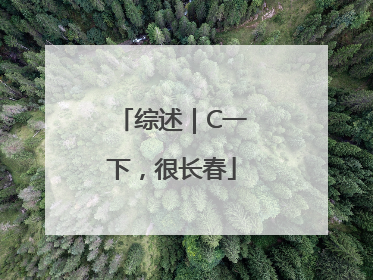 综述｜C一下，很长春