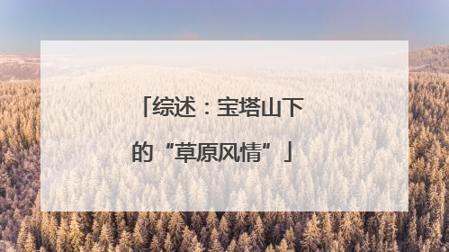 综述：宝塔山下的“草原风情”