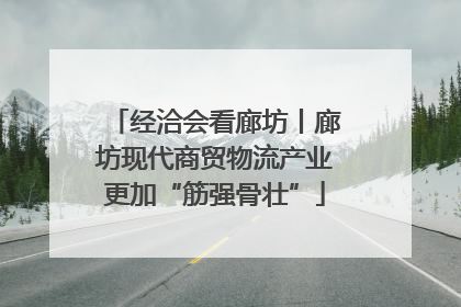 经洽会看廊坊丨廊坊现代商贸物流产业更加“筋强骨壮”