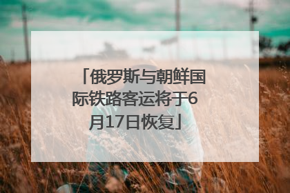 俄罗斯与朝鲜国际铁路客运将于6月17日恢复