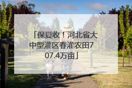 保夏收！河北省大中型灌区春灌农田707.4万亩