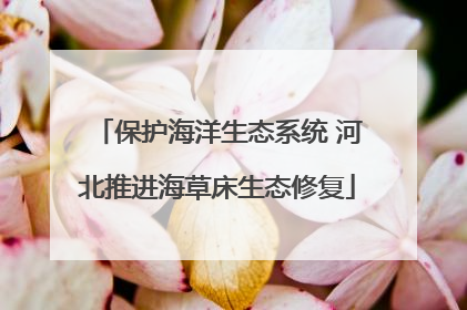 保护海洋生态系统 河北推进海草床生态修复