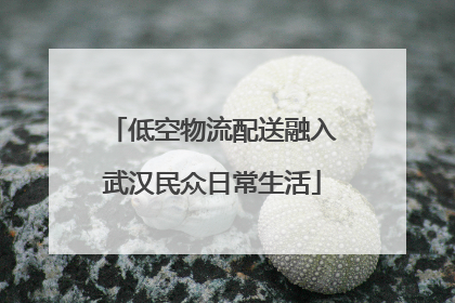 低空物流配送融入武汉民众日常生活