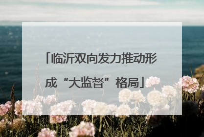 临沂双向发力推动形成“大监督”格局