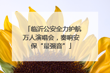 临沂公安全力护航万人演唱会，奏响安保“最强音”