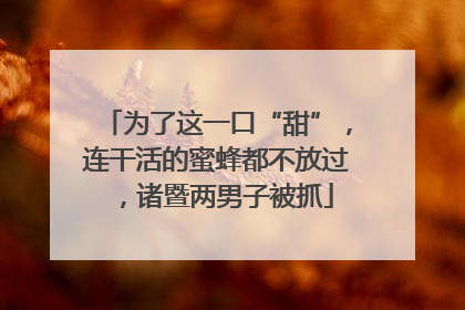 为了这一口“甜”，连干活的蜜蜂都不放过，诸暨两男子被抓