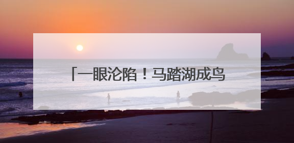 一眼沦陷！马踏湖成鸟类诗意栖居地，太美了