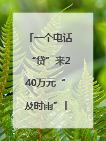 一个电话“贷”来240万元“及时雨”