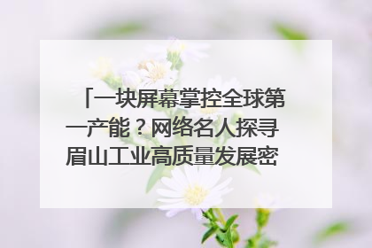 一块屏幕掌控全球第一产能？网络名人探寻眉山工业高质量发展密码｜网络名人四川行