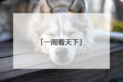 一周看天下