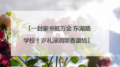 一封家书抵万金 东湖路学校十岁礼浸润墨香温情