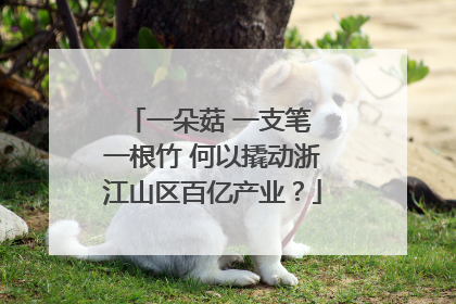 一朵菇 一支笔 一根竹 何以撬动浙江山区百亿产业？