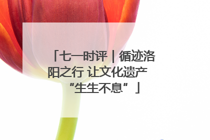 七一时评｜循迹洛阳之行 让文化遗产“生生不息”