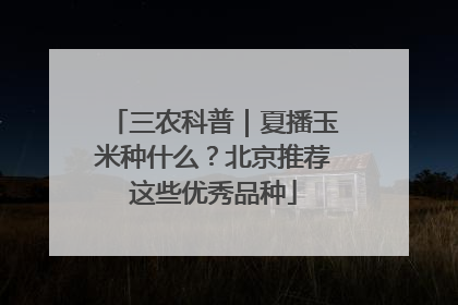 三农科普｜夏播玉米种什么？北京推荐这些优秀品种