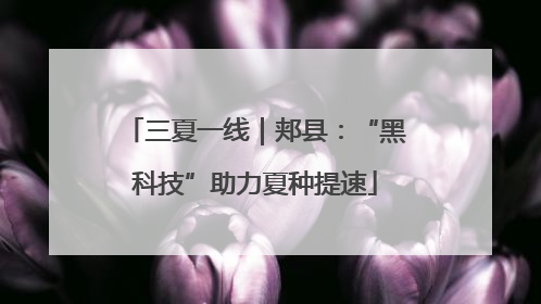 三夏一线｜郏县：“黑科技”助力夏种提速