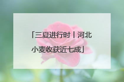 三夏进行时丨河北小麦收获近七成