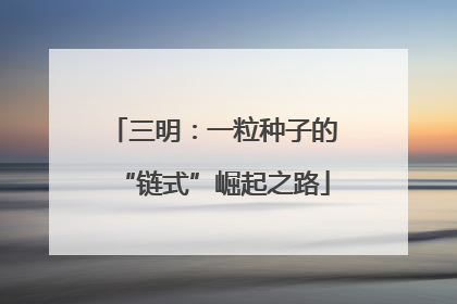 三明：一粒种子的“链式”崛起之路