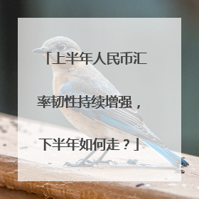 上半年人民币汇率韧性持续增强，下半年如何走？