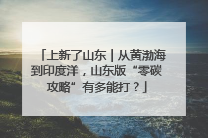 上新了山东｜从黄渤海到印度洋，山东版“零碳攻略”有多能打？