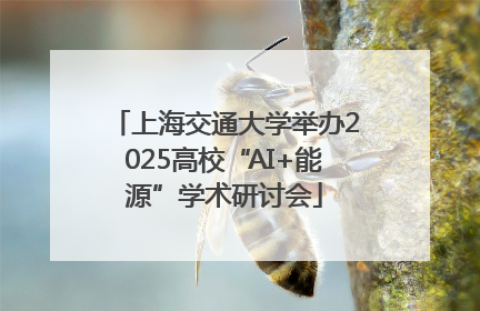 上海交通大学举办2025高校“AI+能源”学术研讨会