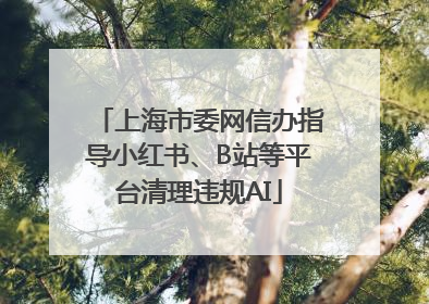 上海市委网信办指导小红书、B站等平台清理违规AI