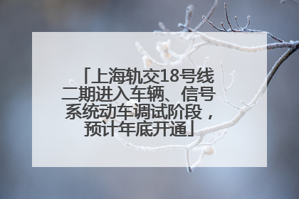 上海轨交18号线二期进入车辆、信号系统动车调试阶段，预计年底开通