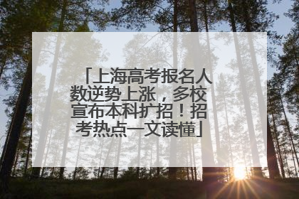 上海高考报名人数逆势上涨，多校宣布本科扩招！招考热点一文读懂