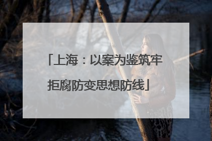 上海：以案为鉴筑牢拒腐防变思想防线