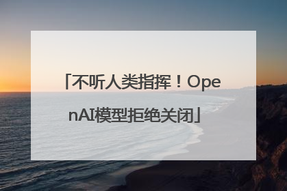 不听人类指挥！OpenAI模型拒绝关闭