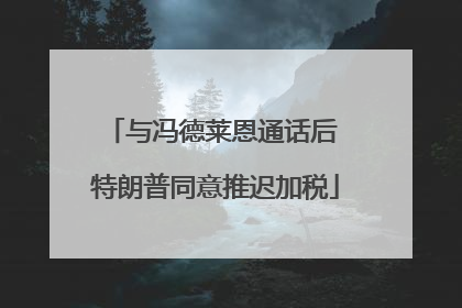 与冯德莱恩通话后 特朗普同意推迟加税