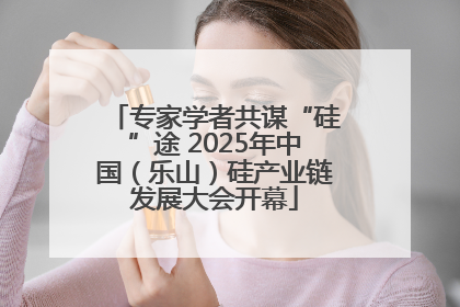 专家学者共谋“硅”途 2025年中国（乐山）硅产业链发展大会开幕