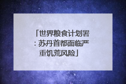 世界粮食计划署：苏丹首都面临严重饥荒风险