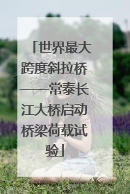 世界最大跨度斜拉桥——常泰长江大桥启动桥梁荷载试验